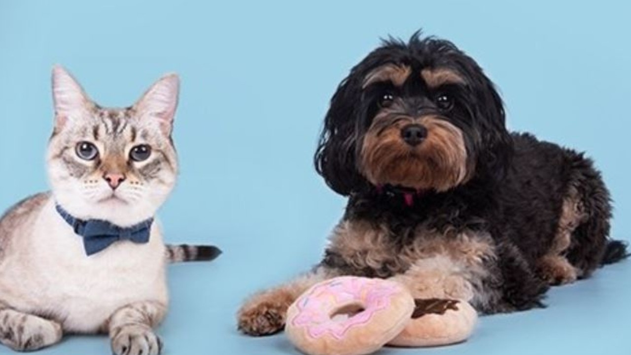 Krispy Kreme Acacia Ridge, RSPCA: Cupcake Day | The Courier Mail