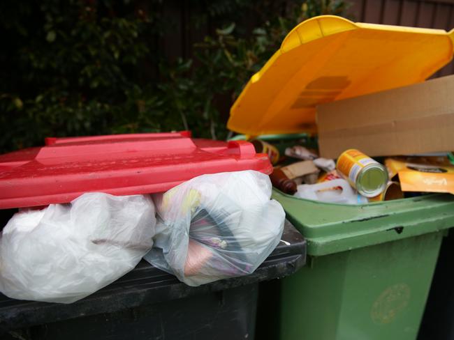 Danielle Jenner from South Penrith at her home. Penrith Council's rubbish service is causing headaches for residents who have to pay more if they want bigger bins or more frequent pick ups.