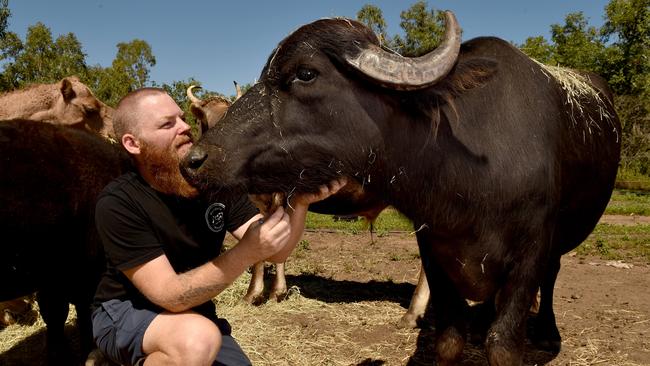 Dan Robson with Dennis the buffalo at Maridan's Menagerie at Oak Valley. Picture: Evan Morgan