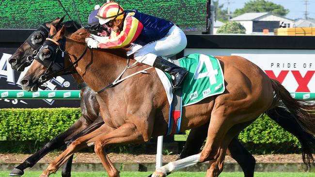 Hard Empire and Brad Stewart ranges up alongside Jonker to record a memorable victory.