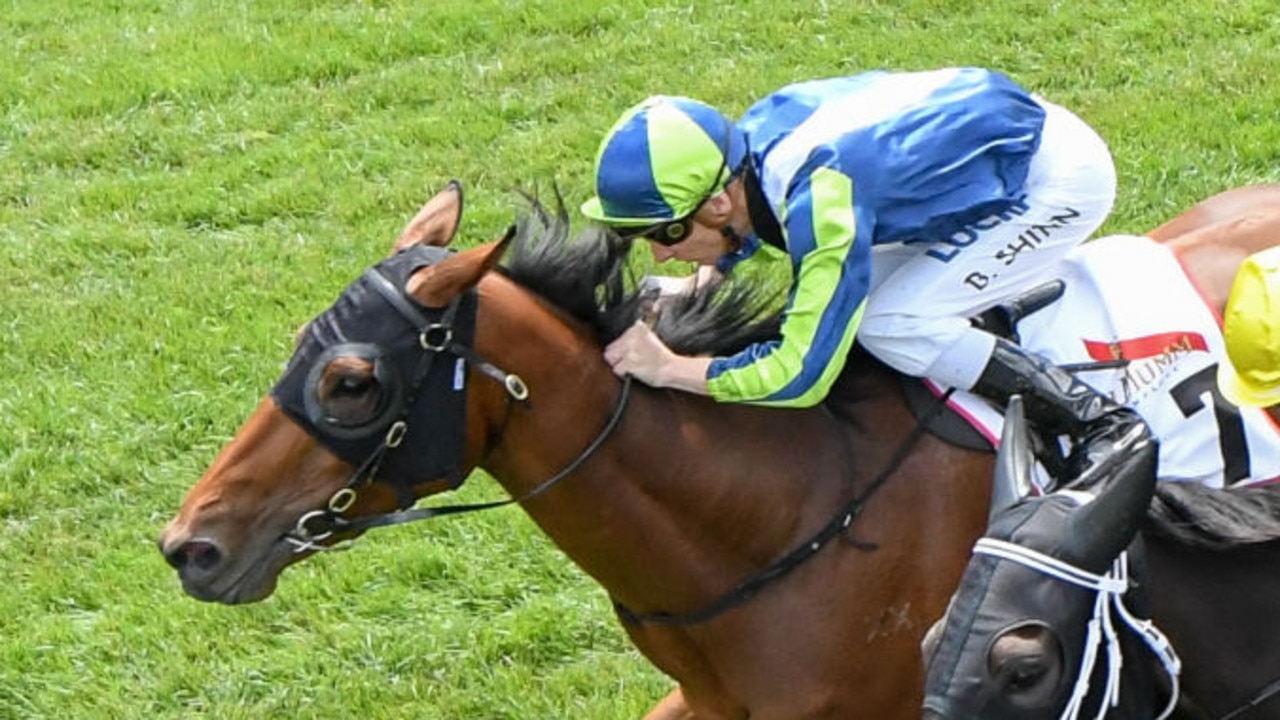 Luvaluva (NZ) ridden by Blake Shinn wins the G.H.Mumm Wakeful Stakes at Flemington Racecourse on November 04, 2017 in Flemington, Australia. (Brett Holburt/Racing Photos via Getty Images)