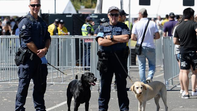 Police sniffer dogs at the entrance to the festival. Picture: Lawrence Pinder