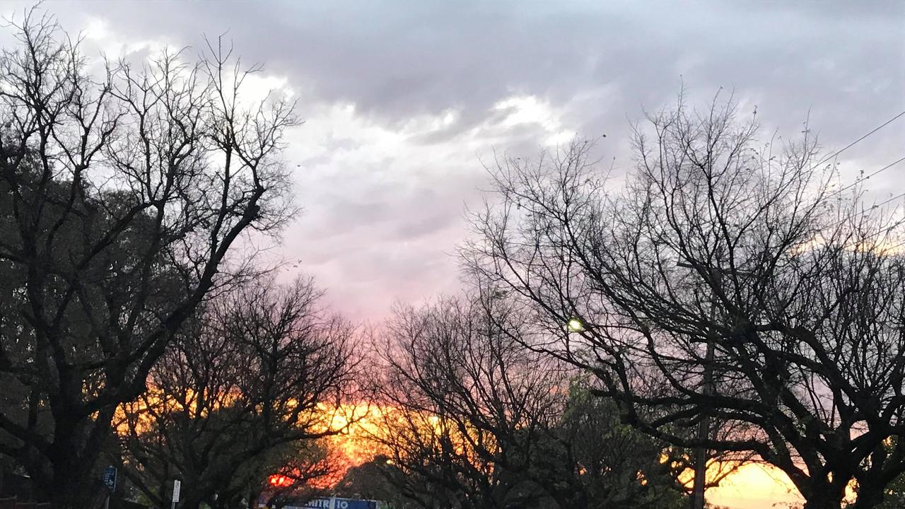 Linden Park before the storm, by Jane Aiello.