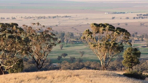 Robert Barry's property 'Berwicks' near Willow Tree which he has owned for more than 38 years. Mr Barry is rejecting coal seam gas mining in the area.