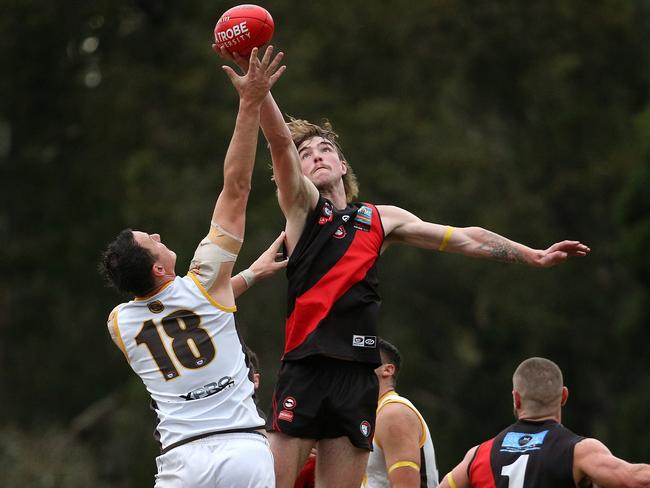 Finnbar Maley wins the tap for Eltham. Picture: Hamish Blair