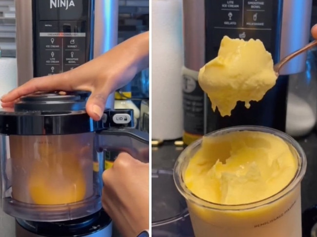 Ninja Creami Ice Cream Maker. TikTok: /@_erinr._