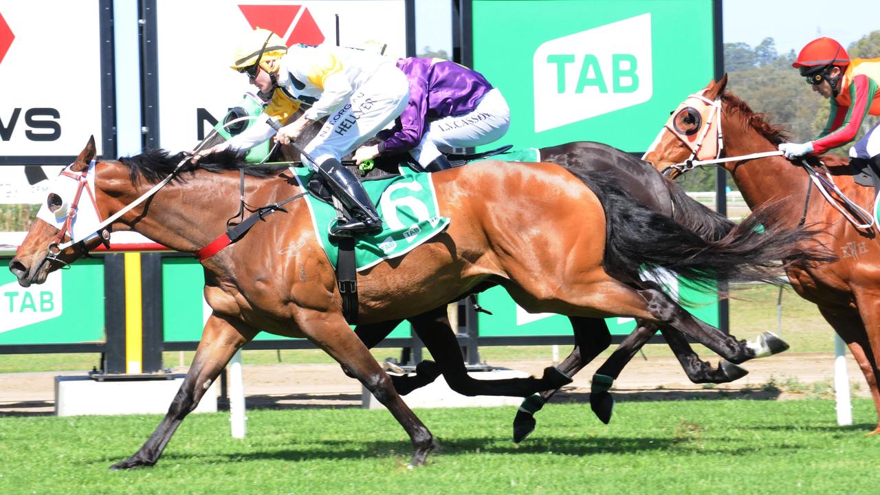 Ipswich winner Divine Ascot, ridden by Michael Hellyer. Picture: Claire Power