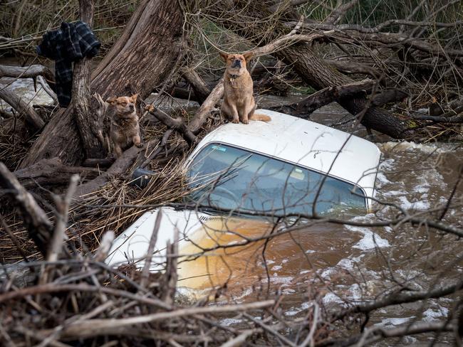 The car was trapped in the fast-flowing water. Picture: Jake Nowakowski