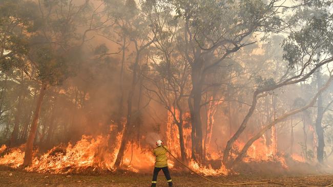 A firefighter conducting backburning measures to secure residential areas from encroaching bushfires in the Central Coast. Picture: AFP