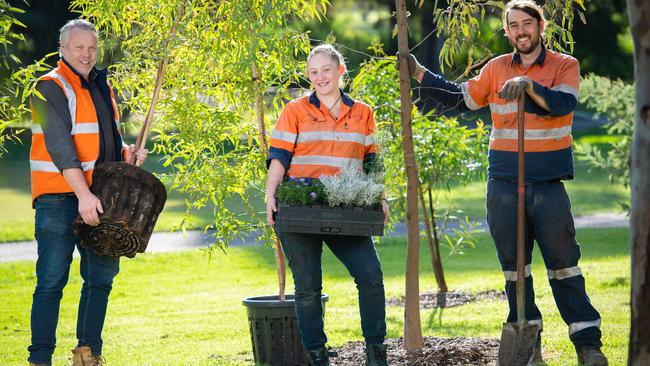 A Melbourne doctor will be compensated by council after a cedar tree caused foundational damage to her home. But tree removal isn’t easy, see what rules apply in the City of Melbourne.