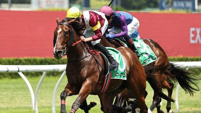 Sir Remlap scored his third win from four starts in his comeback from injury at Randwick. Picture: Getty Images