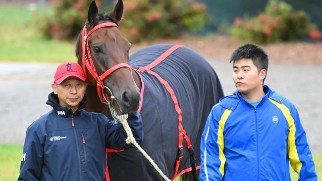 Romantic Warrior is a raging hot favourite for Saturday’s Group 1 Turnbull Stakes at Flemington. Picture: Vince Caligiuri/Getty Images