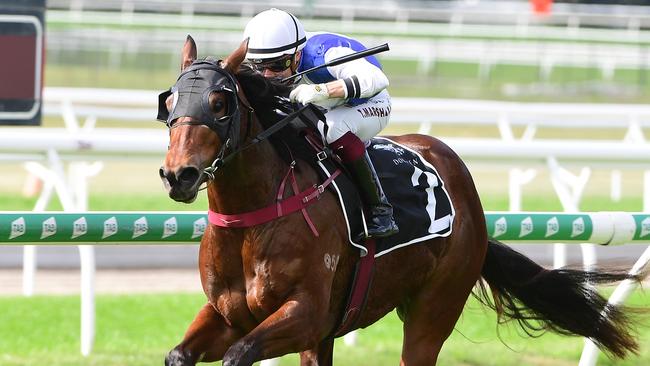 A few scratchings will help Enterprise Pomme. Picture: Trackside Photography