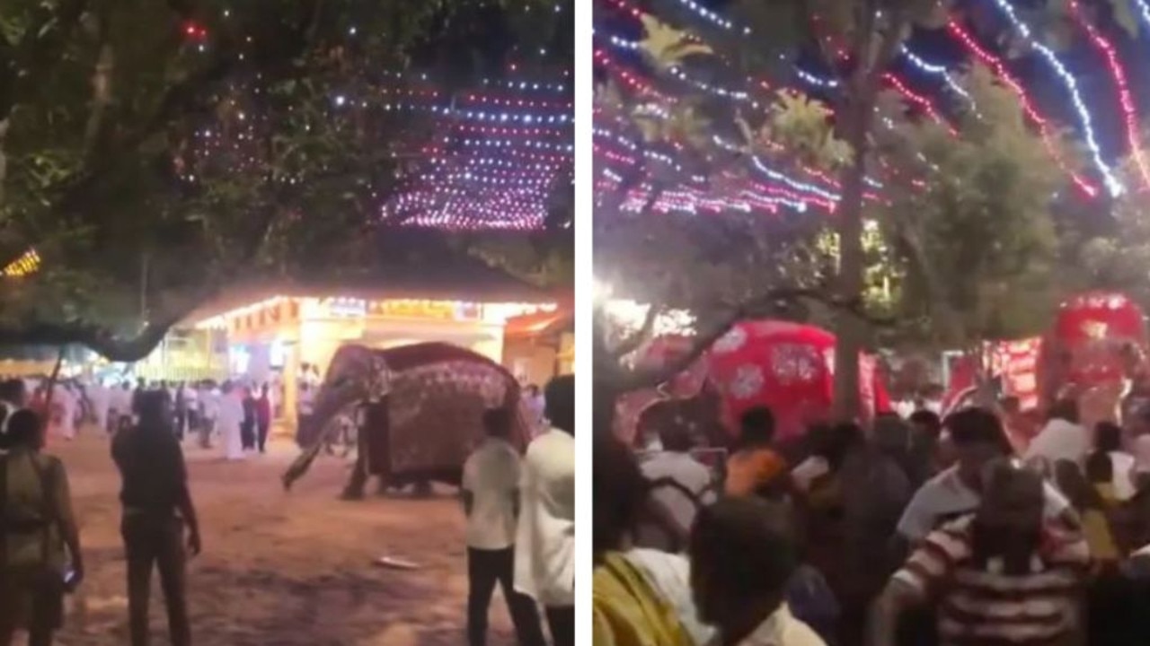 Moment elephant crushes 13 at festival