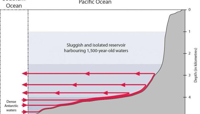 Schematic illustration of water currents. Credit: Fabien Roquet and Casimir de Lavergne