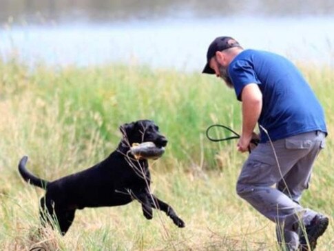 Chris Flegler and his Frey the Labrador at a United Field and Retrieving training day in Ripley. Picture: United Field and Retrieving