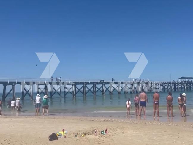 Swimmers have been ordered out of the water at Grange Beach after a shark was spotted close to shore near the jetty. Picture: 7NEWS