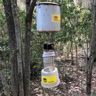 A carbon dioxide-baited “Encephalitis Virus Surveillance” trap used to survey adult mosquito populations on the northern beaches. Picture: NSW Health