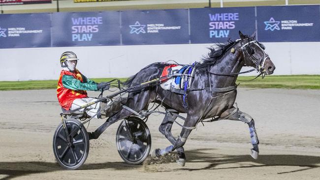 Jordan Leedham drives Kitzbuhel Delight to victory at Melton Park last month. Picture: Stuart McCormick