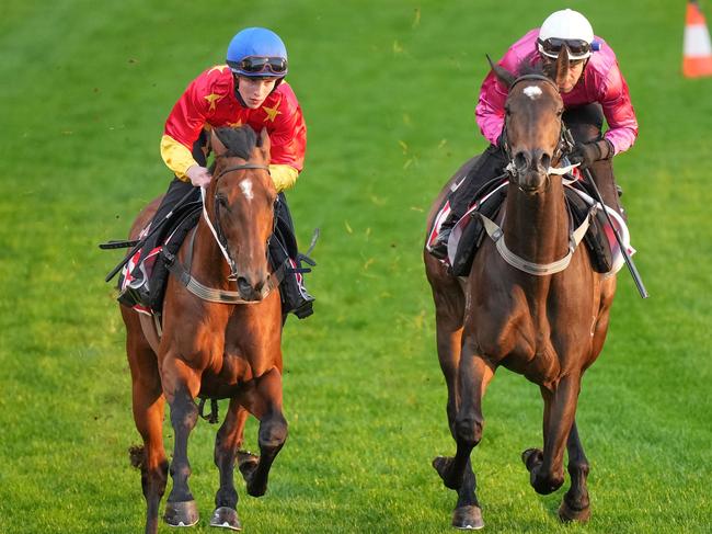 Militarize (left) and Fangirl (right) during Breakfast With The Best trackwork at Moonee Valley Racecourse on October 24, 2023 in Moonee Ponds, Australia. (Photo by Scott Barbour/Racing Photos via Getty Images)