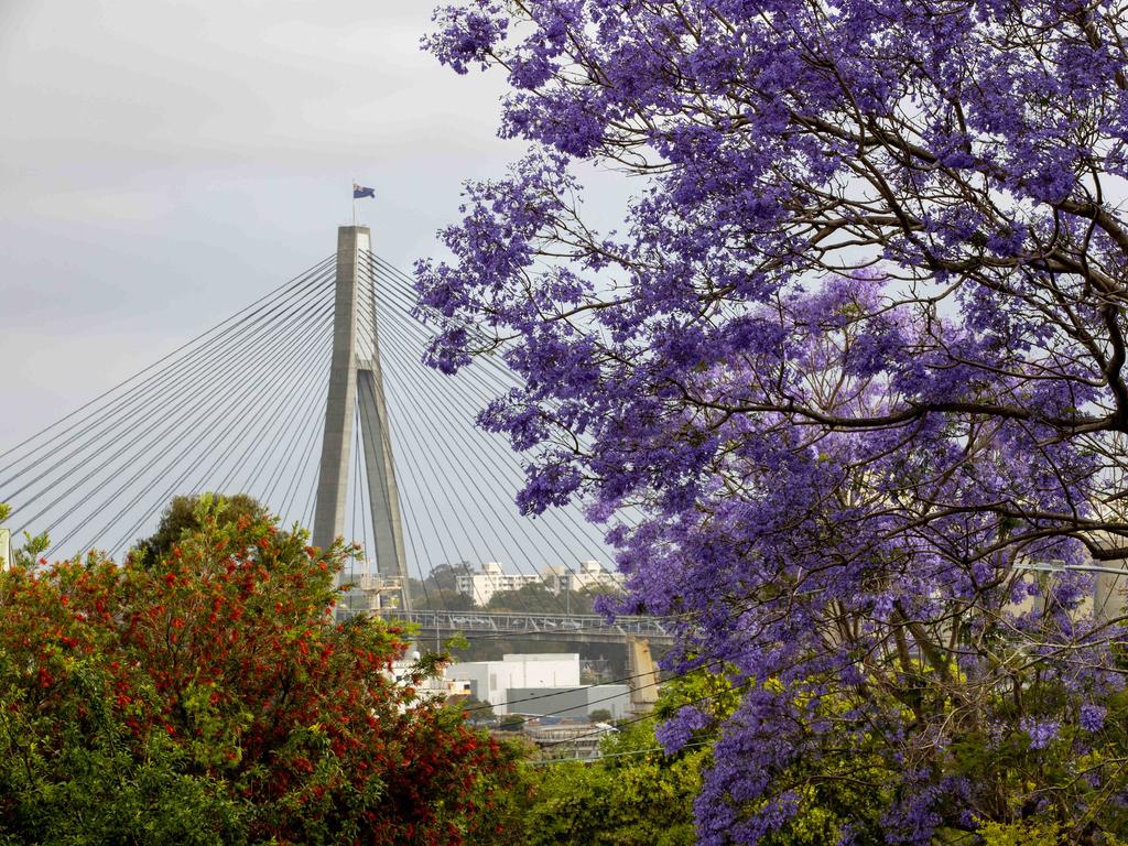 Major planning reforms will take in Balmain. Picture: NCA NewsWire / Dylan Coker