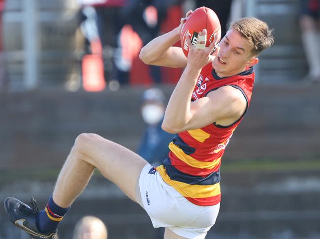 Lachlan Gollant kicked three goals for the Crows. Pic: David Mariuz.