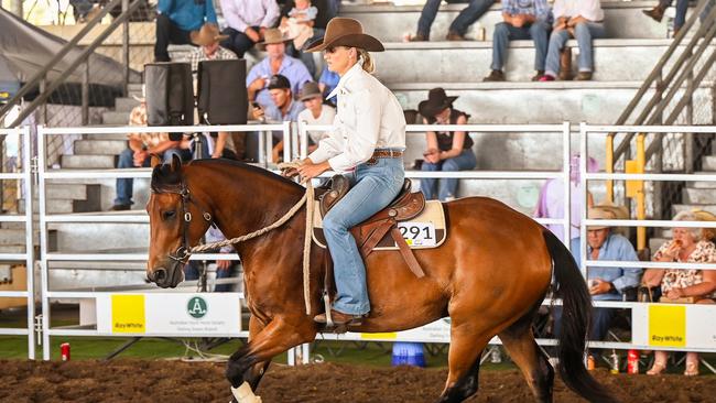 Dalby Australian Stock Horse Sale