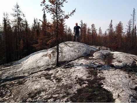 The Hawker pegmatite, looking from east to west. Picture: JBY