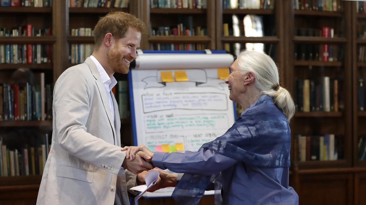 Prince Harry and Dr Jane Goodall hold hands as he attends the legendary environmentalist’s Roots &amp; Shoots Global Leadership Meeting at Windsor Castle. Picture: Kirsty Wigglesworth/WPA Pool/Getty Images