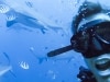 I got slapped in the face by a bull shark in Fiji