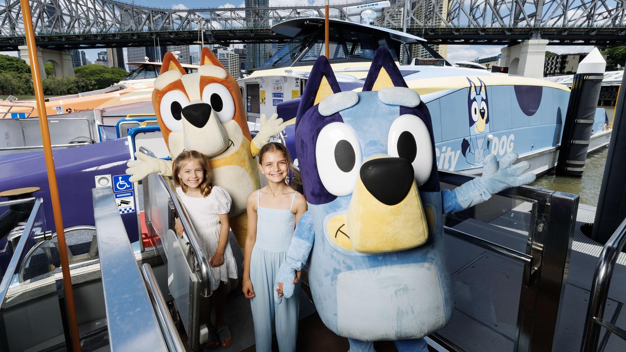 CityCat ferries rebrand into CityDog in honour of Bluey and Bingo ...