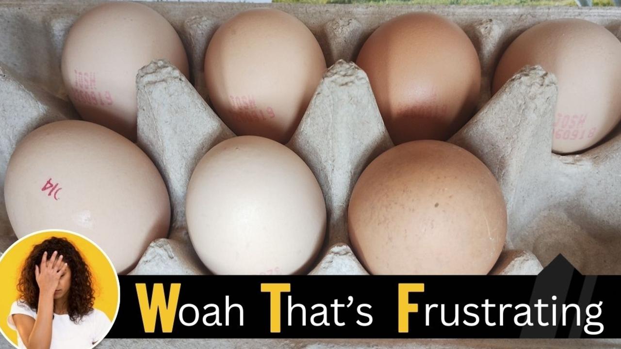 WTF: Bombshell breaking eggsclusive