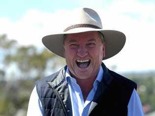 Barnaby Joyce. Picture: File