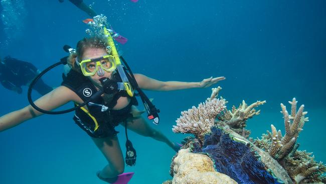 A tourist examines the coral at Moore Reef, a section of the Great Barrier Reef off Cairns, yesterday. Picture: Stuart Ireland