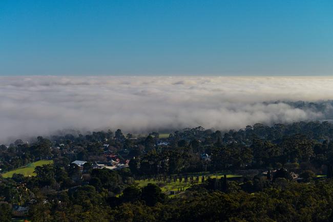 Fog blanketing Adelaide from Brownhill Reserve on July 14. Picture: Brenton Edwards