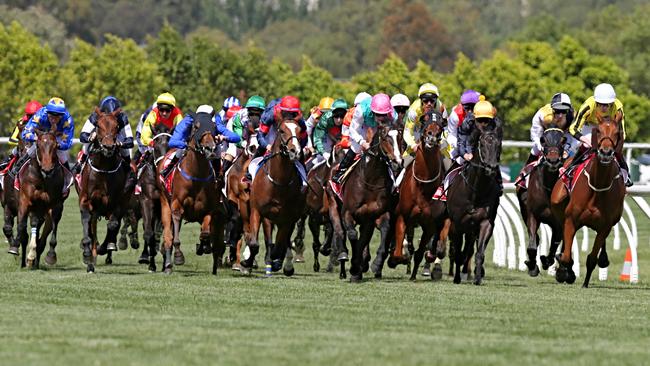 The Melbourne Cup field head into the straight as jockeys make their moves. Picture: Tim Carrafa