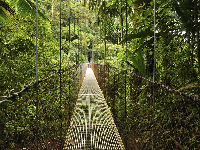 Hanging Bridges in Costa Rica's Arenal National Park. Picture: iStock