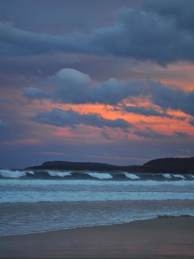 Copping. Picture: Ross Holloway. Your Focus on Tasmania ***ONE TIME USE ONLY***