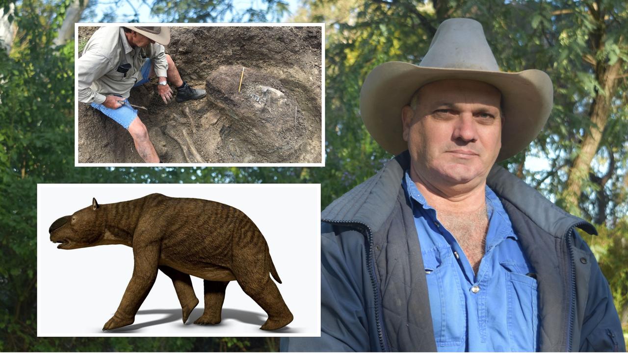 TREMENDOUS FIND: An amazing discovery of ancient marsupial fossils in Dalby may be shipped to Brisbane if a solution isn't found to keep it in the Western Downs. Picture: Contributed/Andrey Atuchin, Rochelle Lawrence & Scott Hocknull Â© 2020 Queensland Museum