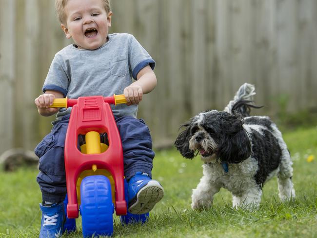 Zachary Caldwell had a brain tumour at nine months. Picture: Jason Edwards