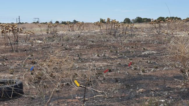 Police are searching for a suspected arsonist after emergency services responded to eight fires at Kudla. Picture: SA Police