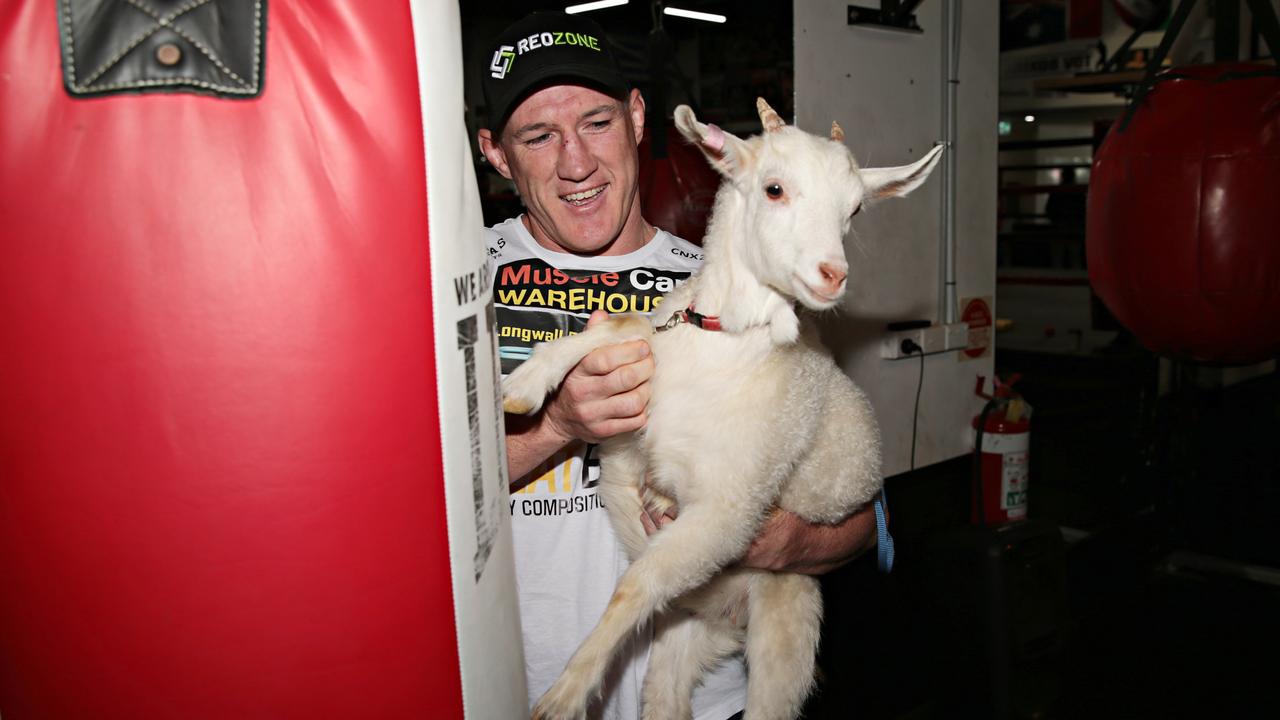 Paul Gallen with a goat named Lucas punching a bag. Picture: NCA NewsWire / Adam Yip