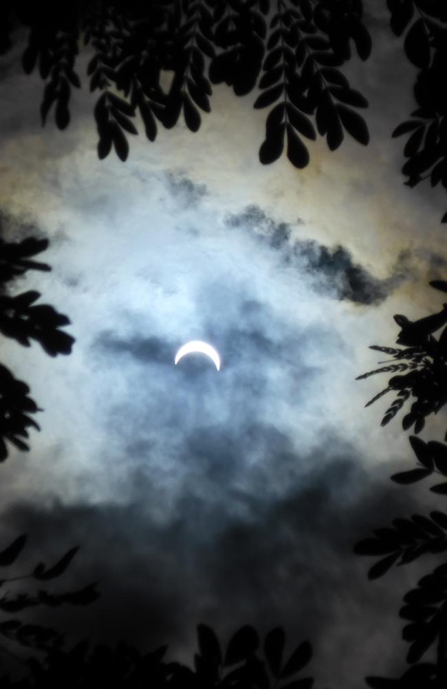 This image of the solar eclipse was captured by Greg MacDonald at Raintree Park.