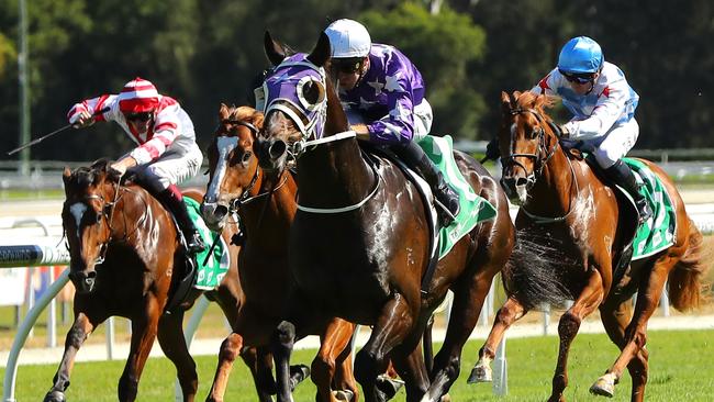 Chrysaor is headed to the Magic Millions. Picture: Jeremy Ng/Getty Images