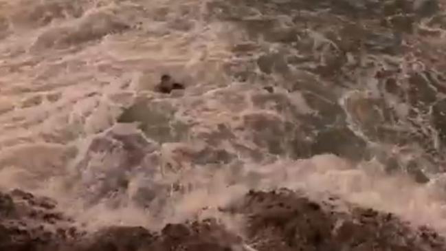 Jacob tried to climb up but another wave washes over him, knocking him back into the water as he desperately keeps hold of the pole. Pictures: Aiden Whiteman, Whiteey's Fishing.