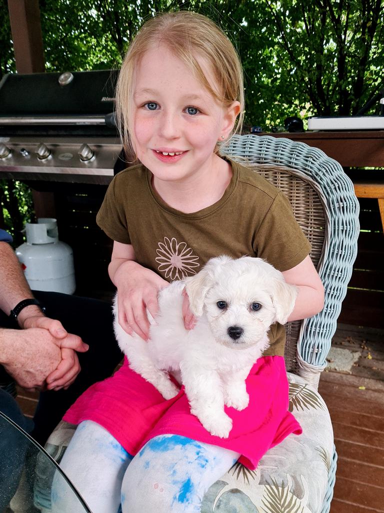 Lucy McAleer was just eight years old when she died from DIPG brain cancer.