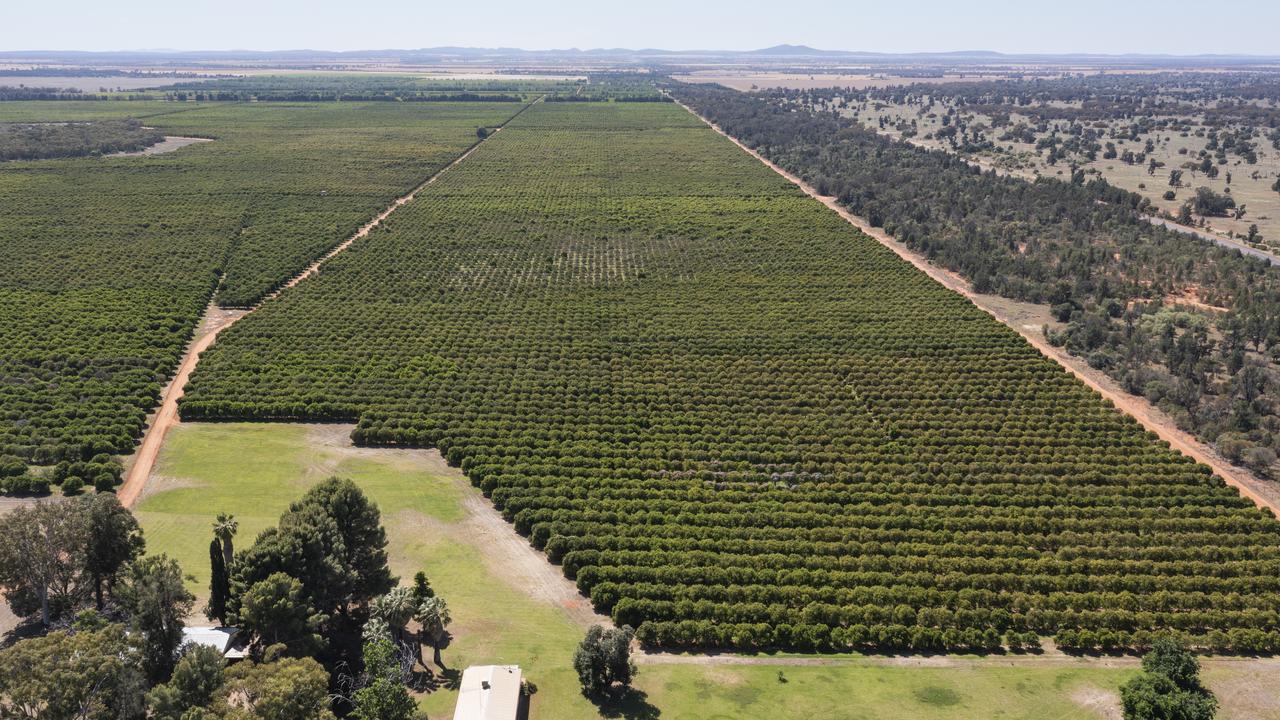 Singaporean family’s Riverina farms hit the market