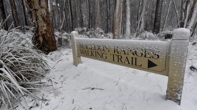 Snow at Mt Macedon this morning. Picture: Jay Town