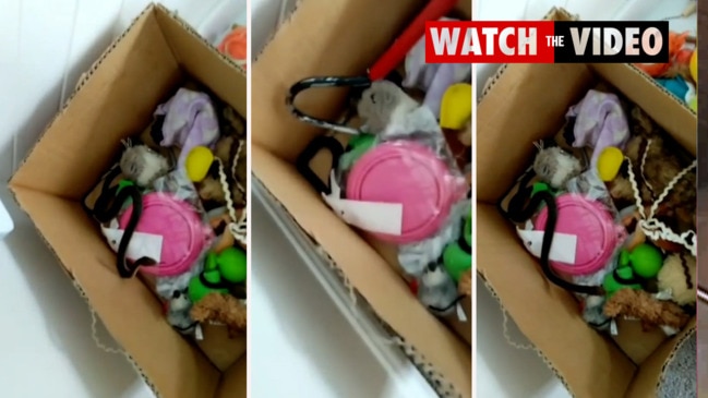 The toy box item no parent wants to find