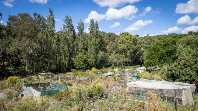 Locals say the Collingwood Children’s Farm are stripping them of their plots. Picture: Jake Nowakowski